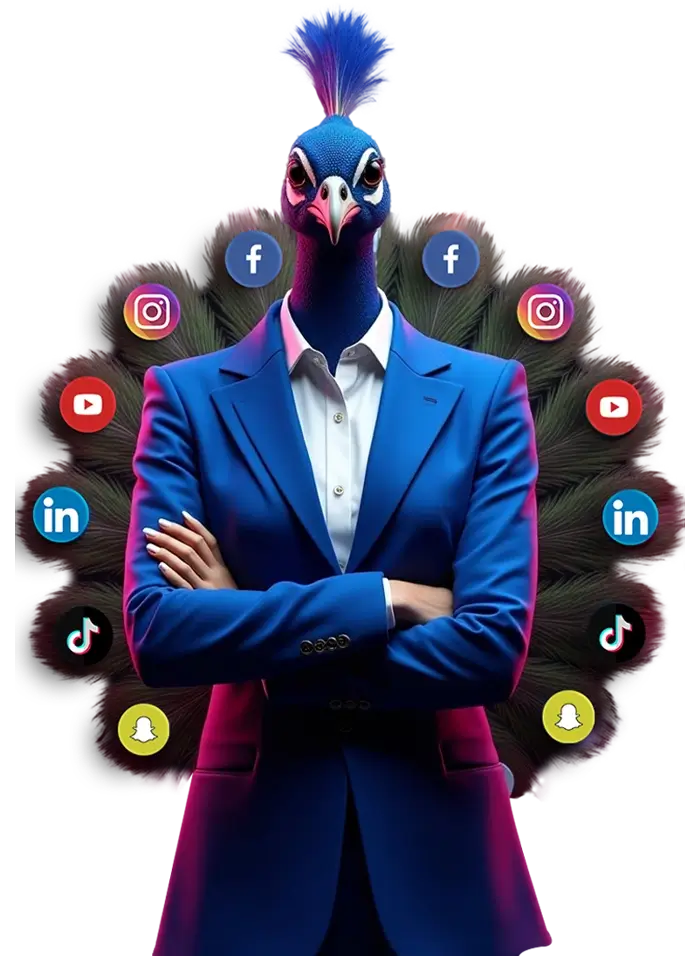 Social Media box home page 2